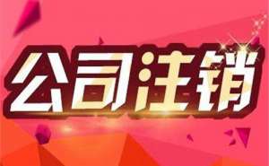 芜湖小规模公司税务注销与一般纳税人公司有何不同